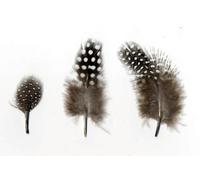 Plumes Ébouriffées Naturel 3 G Lg 4 À 8 Cm