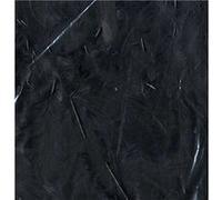 Artemio Plumes ébouriffées noires 12 cm