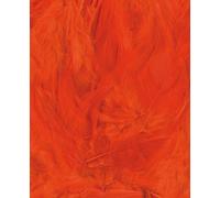 Plumes Ébouriffées Orange 3 G Lg 8 À 12 Cm