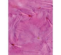 Plumes Ébouriffées Rose Clair 3 G Lg 8 À 12 Cm