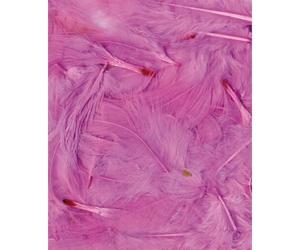 Plumes Ébouriffées Rose Clair 3 G Lg 8 À 12 Cm