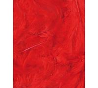 Artemio Plumes ébouriffées – Rouge – Sachet 3 g – 8–12 cm