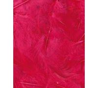 Plumes Ébourifféesfuchsia 3 G Lg 8 À 12 Cm