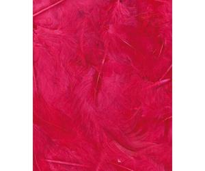 Plumes Ébourifféesfuchsia 3 G Lg 8 À 12 Cm