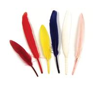 Plumes Indiennes, Assorties, 10,5 Cm, 24 Pièces