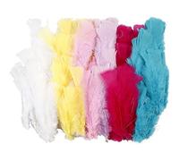 Plumes, L: 11-17 cm, asstd. couleurs, couleurs printanières, 144bundles
