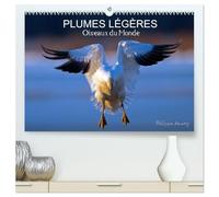 PLUMES LÉGÈRES. Oiseaux du Monde (Calendrier mural 2026 DIN A2 vertical) calendrier de bureau: Treize photos d'oiseaux en action, photographiés avec l'oeil d'artiste de philippe Henry
