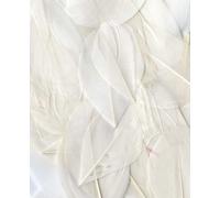 Artemio 3 g de Plumes Lisses Blanches