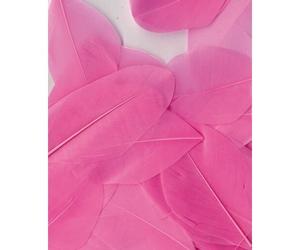 Plumes Lissées Rose Clair 3 G Lg 6 Cm Env.
