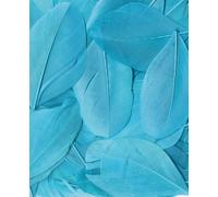 Artemio - 3 G Lisse Plumes, Turquoise