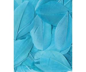 Plumes Lissées Turquoise 3 G Lg 6 Cm Env.