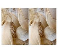 Plumes marron clair, lot de 100 (lot de 2)