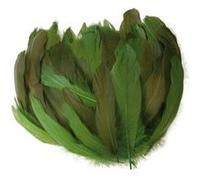Plumes nageoire d'oie dégradé vert 20g - graine créative Multicolore - assort. G
