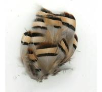 Plumes naturelles de faisan, paon, petit aigle, poule, autruche, décoration, accessoires de loisirs créatifs, création de bijoux - N° 38, lot de 20 pièces