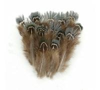 Plumes naturelles de faisan, paon, petit aigle, poule, autruche, décoration, accessoires de loisirs créatifs, création de bijoux - N° 37, lot de 20 pièces