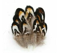 Plumes naturelles de faisan, paon, petit aigle, poule, autruche, décoration, accessoires de loisirs créatifs, création de bijoux - N° 16 (20 pièces)