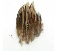 Plumes naturelles de faisan, paon, petit aigle, poule, autruche, décoration, accessoires de loisirs créatifs, création de bijoux - N° 41, lot de 20 pièces