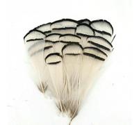 Plumes naturelles de faisan, paon, petit aigle, poule, autruche, décoration, accessoires de loisirs créatifs, création de bijoux - N° 21, lot de 20 pièces