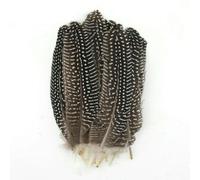 Plumes naturelles en gros : faisan, paon, petit aigle, poule, autruche, décoration, accessoires de loisirs créatifs, création de bijoux - N° 11 (20 pièces)