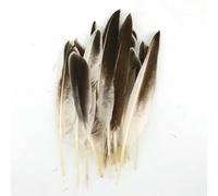 Plumes naturelles en gros : faisan, paon, petit aigle, poule, autruche, décoration, accessoires de loisirs créatifs, création de bijoux - N° 8, 20 pièces
