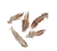 Plumes naturelles, Lot de 50 plumes artisanales multicolores for loisirs créatifs, accessoires et décoration(Color 9)