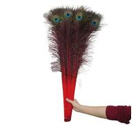 Plumes naturelles, Plumes de paon for travaux manuels, lot 50, multicolores, 80-90 cm(Red)
