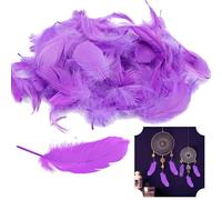 Plumes pour loisirs créatifs, plumes violettes pour loisirs créatifs, attrape-rêves, plumes naturelles pour mariage/fête/décoration, 20 g, tailles - 7 à 10 cm