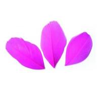 Plumes - Rose vif - 3g NA G