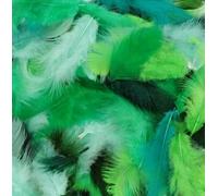 Plumes Teintes Vertes 10 G