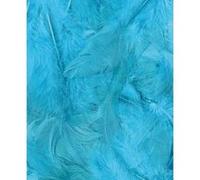 Artemio, Plume, Turquoise, 8>12cm