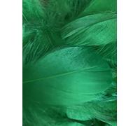 Plumes vert émeraude, paquet de 100