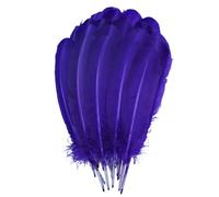 PlumLoisirs Créatifs 24 Piéces 25-30cm Plumes Colorées Naturelles pour Bricolage Décoration Mariage Carnaval et Fétes es de Dinde pour (Lilas)