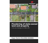 Plundering of state-owned land and property