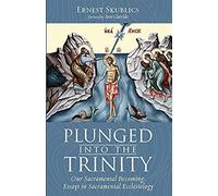 Plunged Into The Trinity
