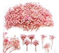 Plus de 4 000 mini fleurs d'haleine de bébé séchées roses et blanches de 15,2 cm, 70 gypsophiles naturelles pour loisirs créatifs, fleurs sèches en vrac pour vase et ongles en résine, décoration de