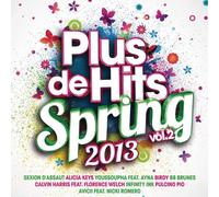 Renaud Rebillaud - Plus de Hits Spring 2013, Vol. 2