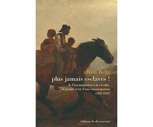 Plus jamais esclaves !: De l'insoumission à la révolte, le grand récit d'une émancipation (1492-1838)