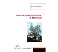 Plus loin que le développement durable : la durabilité - Yannick Brun-Picard - L'harmattan - broché - Essai