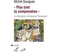 Plus tard tu comprendras Michel Gourgues (Auteur)