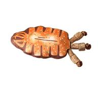 Plush Bone Cat Toy, Realistic Cat Exercise Kick Toys, Interactive Simulated Fish Bone Toy, Fun Kitten Stuff Bone Toy for Cat Home Indoor, 6,5 x 2,36 pouces, 20 g, Crystal Velvet, Pp Cotton, Wood