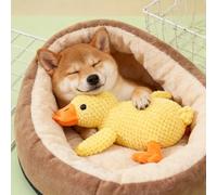 Plush Dog Toys for Small Dogs, Calming Duck Toy For Dogs, Quacking Ducks Toys, A Multi-Functional Chew Toy Combining Soothing, Squeaking & Dental Care, Keeps Puppies and Seniors Active (1 Pc)