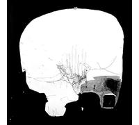 Pluta, Sam and Peter Evan - Two Live Sets