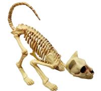 Pluuttiem DéCoration Effrayante d'halloween, ModèLe de Crâne de Chat Accroupi, Animal Effrayant pour Tour de FêTe de Vampire