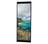 Pluuttiem Écran LCD à Toucher Capacitif 6,9 Pouces Interface MIPI 480X 1280 Éclacité Élevée pour Le Tableau de Bord du Tableau de Bord Multimedia Téléphone, Etc.