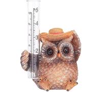 Pluviomètre hibou mignon - Décoration de jardin durable, mesure les précipitations, parfait pour la décoration de pelouse et de jardin, 5,3"" de hauteur