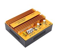 Plyisty Carte D'amplificateur Haute Puissance Audio de Voiture 600 W | jusqu'à 800 W de Puissance de Sortie élevée, Son Dynamique HiFi, Utilisation pour Piloter Caissons de Basses 8 à 12 Pouces