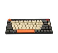 Plyisty Clavier Mécanique échangeable à Chaud avec Action Alternative ou Ergonomique, Rétroéclairage Rvb, Clavier de Jeu Filaire USB 2,4 G5.0 pour, Os X