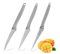 Plys Acier inoxydable Petit ensemble de 3 couteaux de cuisine avec manche en bois : Couteau à légumes, couteau à fruits, couteau d'office, acier inoxydable, super tranchant Couteau professionnel