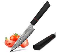 Plys Couteau à Fruits Damas : 14 cm, Couteau d'Office Tranchant, Couteau de Cuisine Polyvalent en Acier Damas 67 Couches Avec Noyau en Acier Vg10 et Manche G10 Adapté Aux Légumes et Aux Fruits