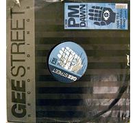 Pm Dawn - ODE TO A FORGETFUL MIND